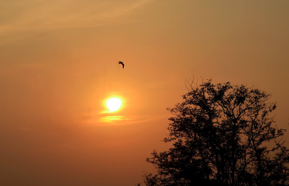 @ferrarisergio4 tweet media