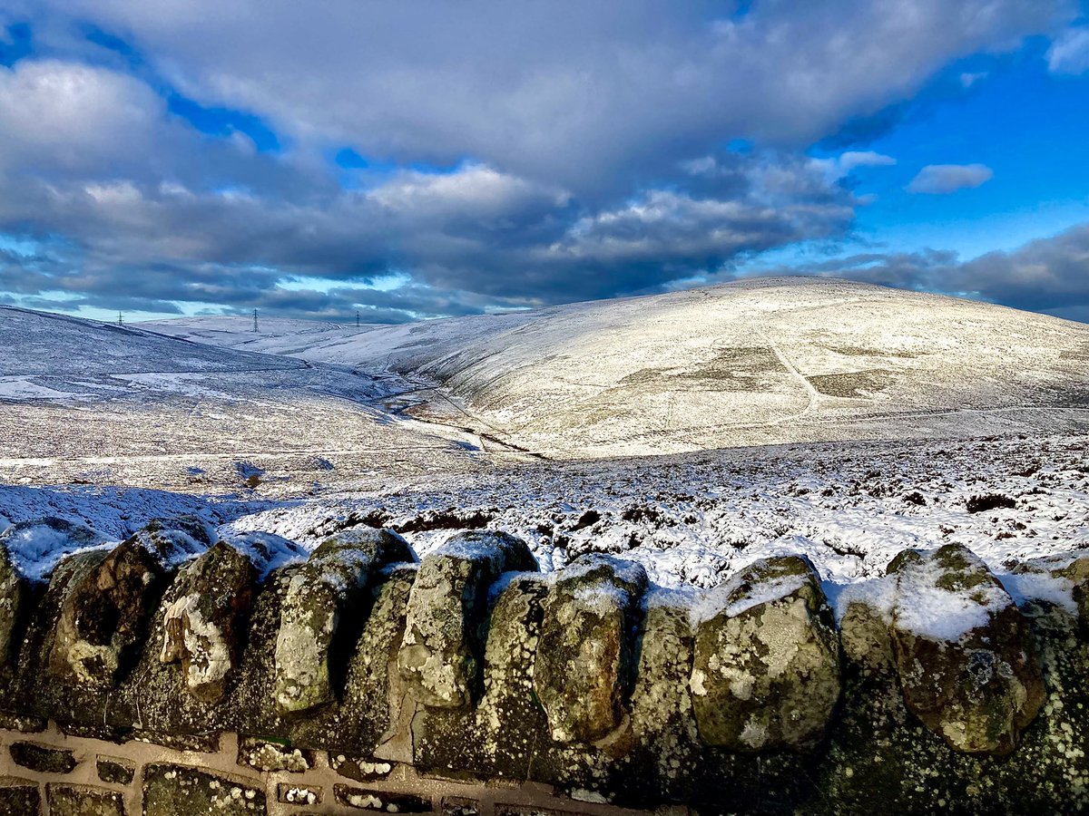 Mark Rowley tweet media