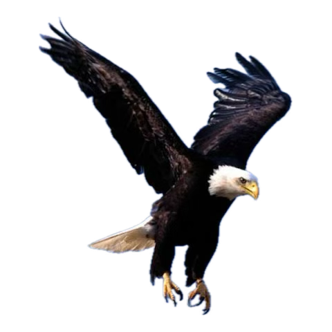 Rezilsin Beşiktaş, Başkan işin çok zor. Bu takımın ruhu kalmamış, sıradan bir takım bile daha inançlı oynar. Yazık