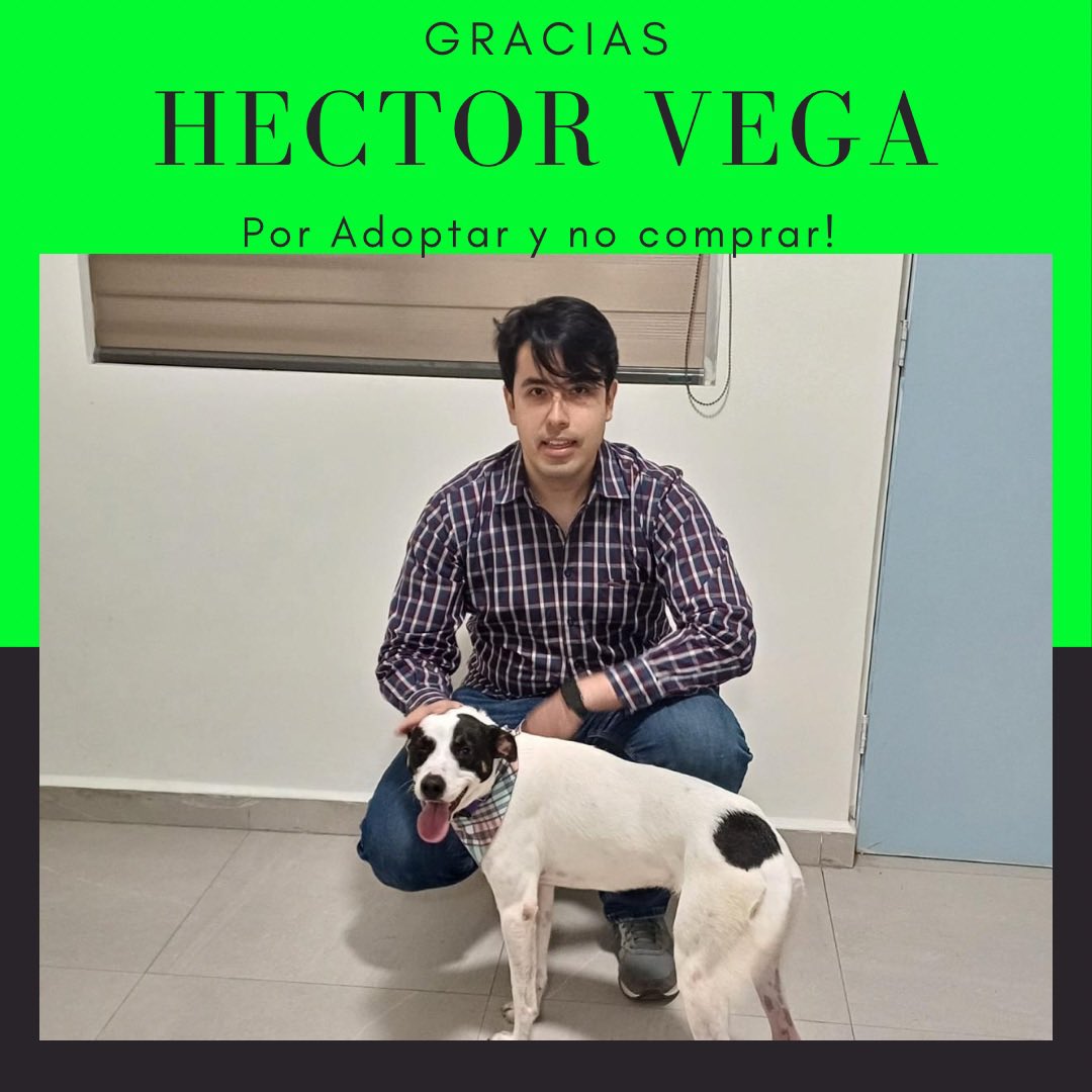 Estamos muy agradecidas con Héctor por haberle dado la oportunidad a Frida y hacerla parte de su familia junto a Chokis (esta es su 2da adopcion con nosotros) gracias infinitas!!

FRIDA ADOPTADA!! 🥳

Gracias por adoptar y NO comprar, porque un amigo no se compra, SE ADOPTA!!!♥️
