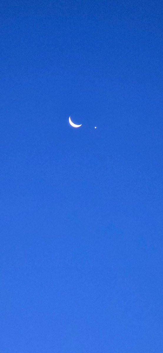 Stevo (Steve-oh!) (@abortabort_) on Twitter photo 