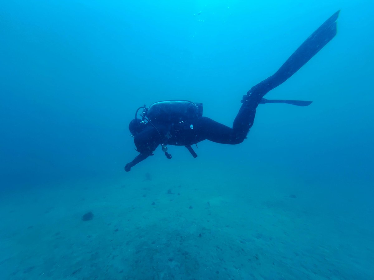 Dive into the deep blue, embrace the tranquility, and feel the serenity and magic of the seabed.