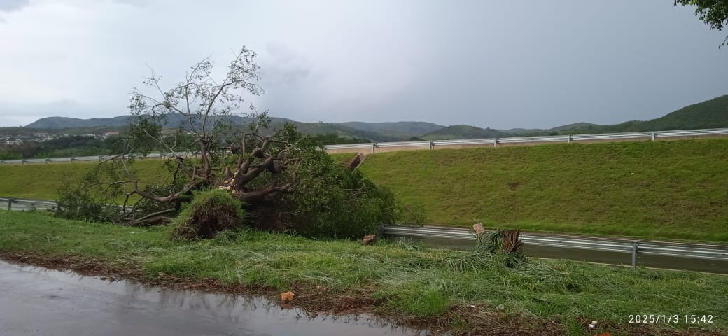 piumhinoticias's tweet photo. Arvore cai na via marginal da MG-050
Uma árvore caiu nesta sexta-feira (03) na via marginal da #MG050, em #Piumhi, devido às fortes chuvas que atingiram a cidade. O incidente aconteceu na via que dá acesso aos bairros Cruzeiro e Olinda.
❗️Motoristas atenção, pista bloqueada. https://t.co/jDojy9AASR