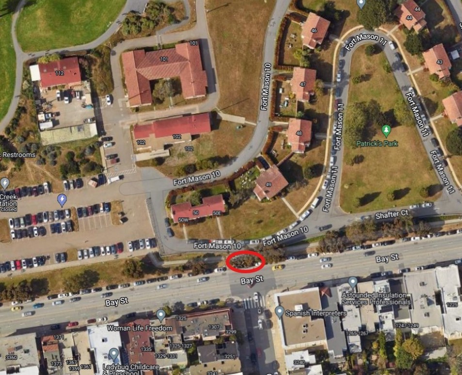 An aging eucalyptus tree at #FortMason, located at Bay and Gough streets, will be removed on Tuesday, Jan. 7. A small portion of the sidewalk and small number of parking spaces will be closed for the work from 8AM-3PM.