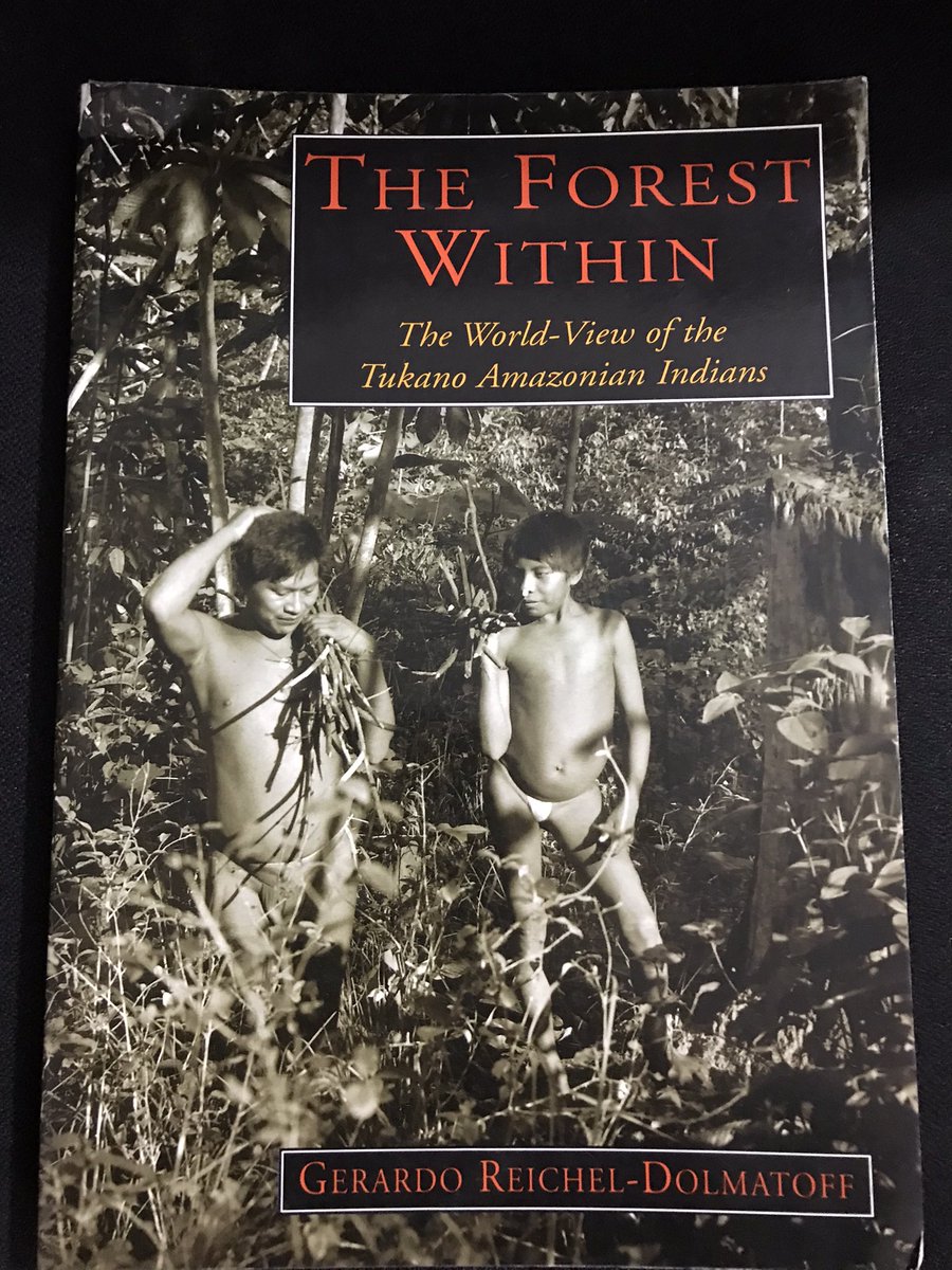 Carlos Lasso tweet media