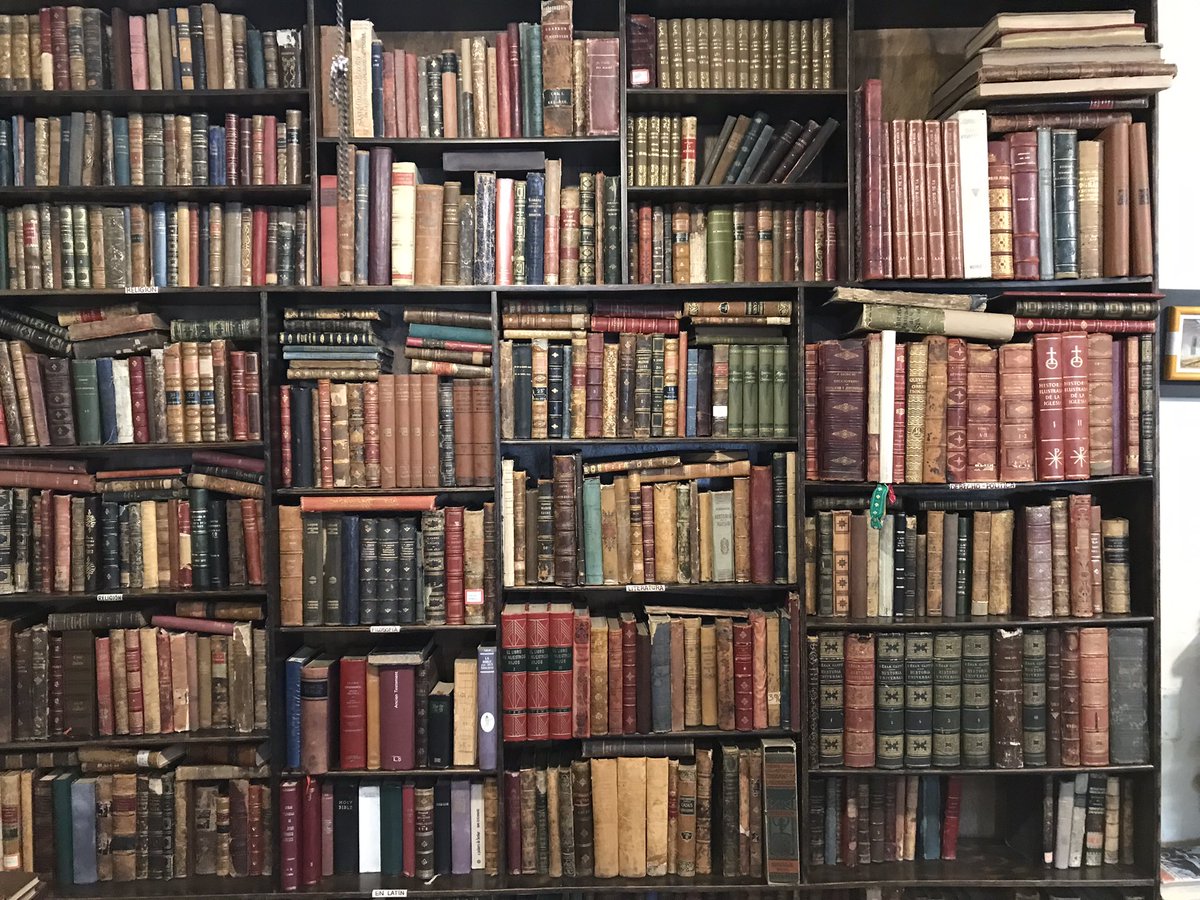 Carlos Lasso tweet media