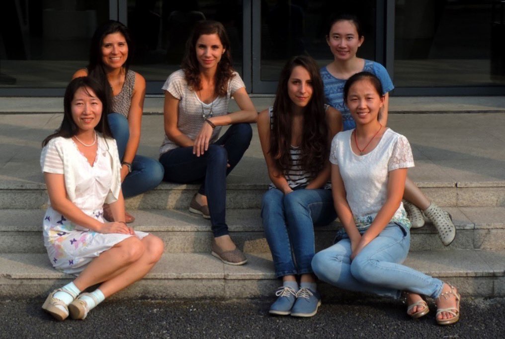 GeminiTeamLab tweet media