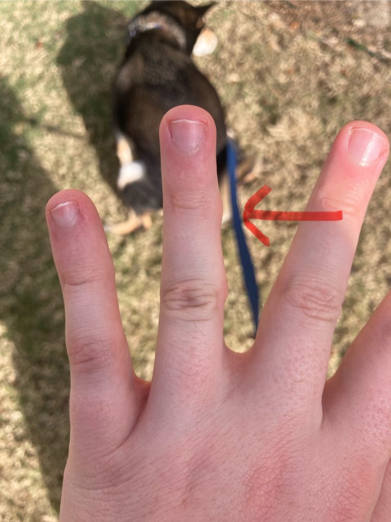 absolute “big J” zer0 tweet media