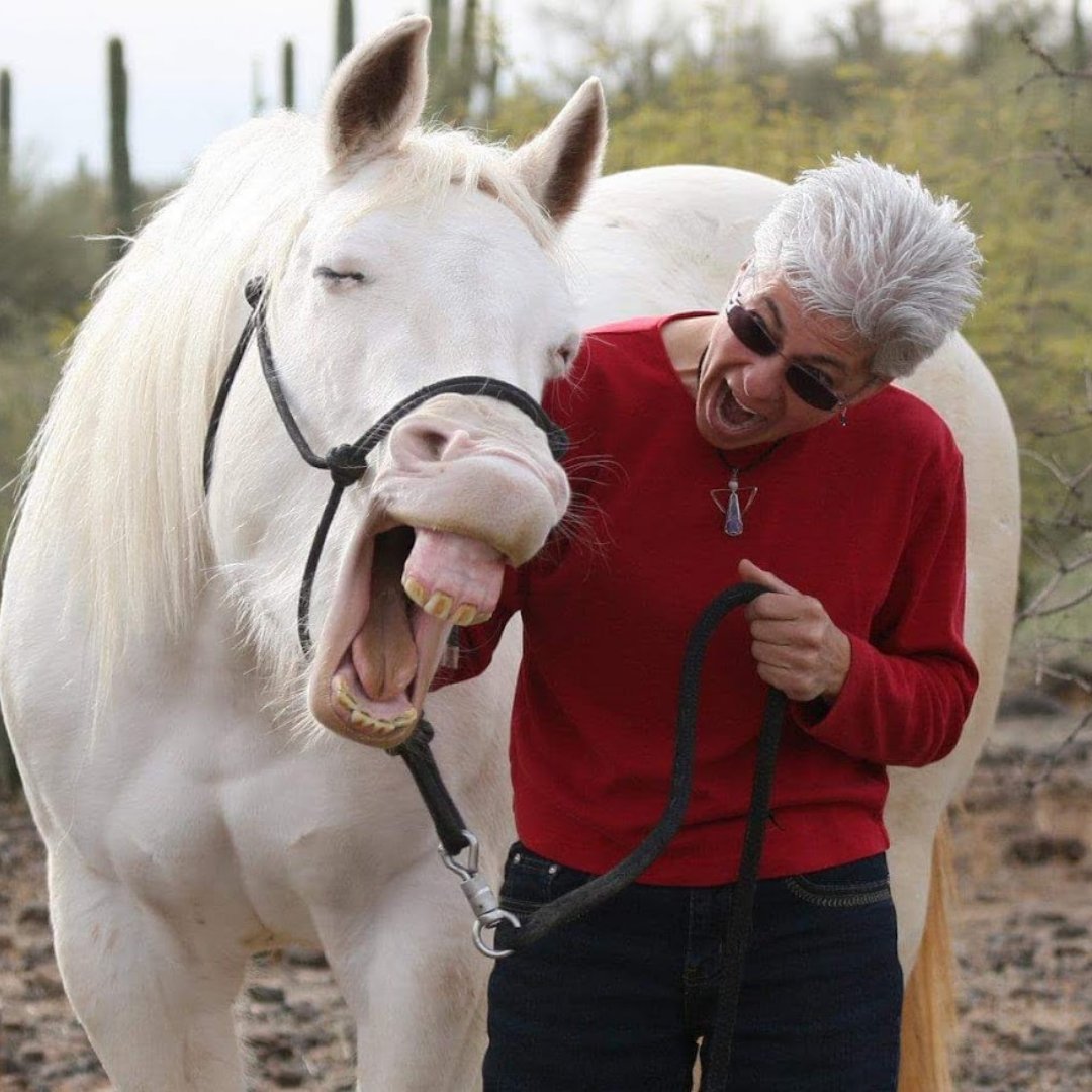angelmarieshine's tweet image. Life is better with laughter—even horses agree! Take a moment today to let joy in. Who or what made you laugh recently? 

#LaughOutLoud #HorseHumor #SharedJoy #LaughterIsTheBestMedicine #HappinessDaily #AnimalFriends
