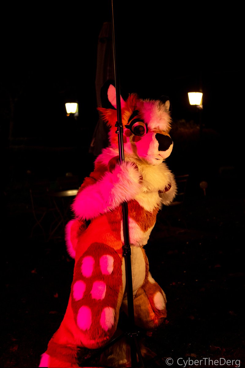 The New Year's party surely hits differently this year! 🎉 Hope you're enjoying yourself~

📸: <a href="/CyberTheDerg/">Cyber</a>
#FursuitFriday