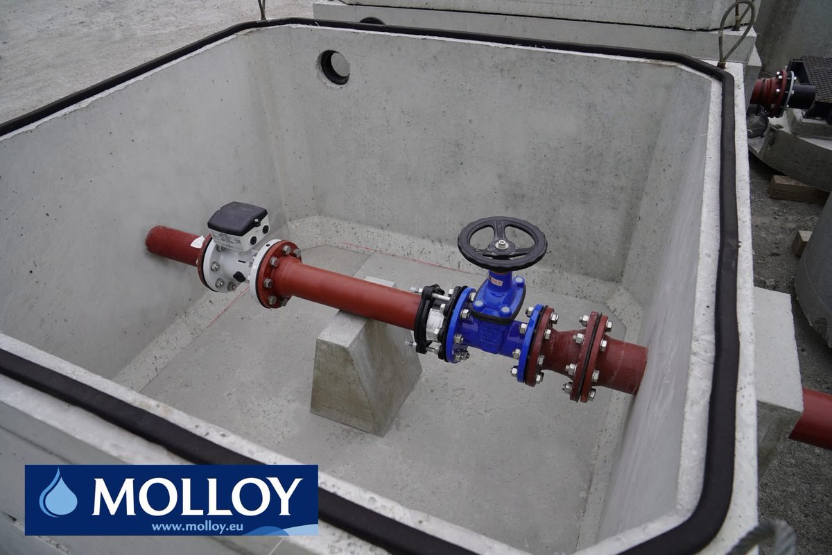 Fergus Molloy tweet media