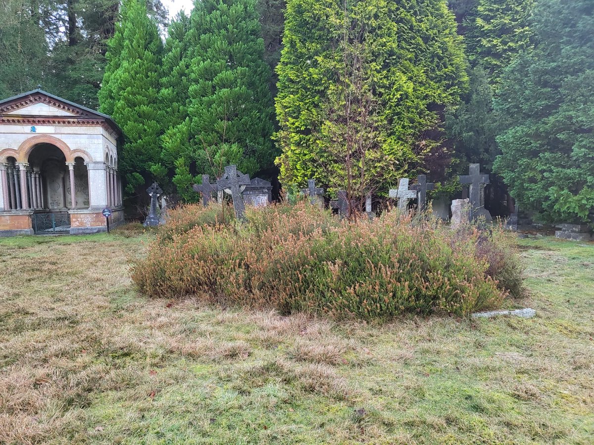 Our volunteers started the new year after the Christmas break, uncovering some old memorials.