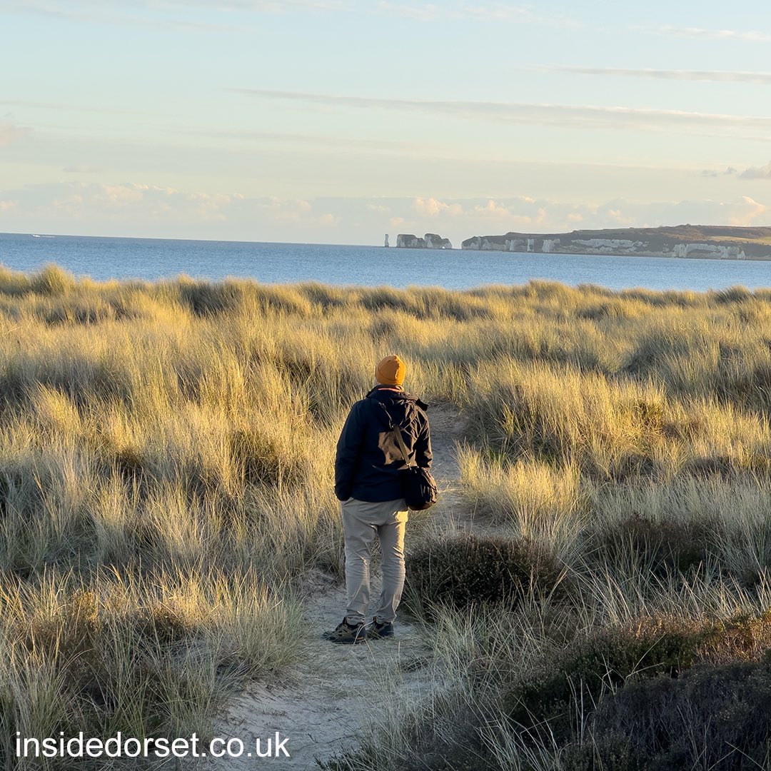 InsideDorset's tweet image. Who else is looking forward to exploring more of Dorset in 2025?

Where do you plan on visiting this year? Let us know in the comments.  

#Studland #Dorset #Walking