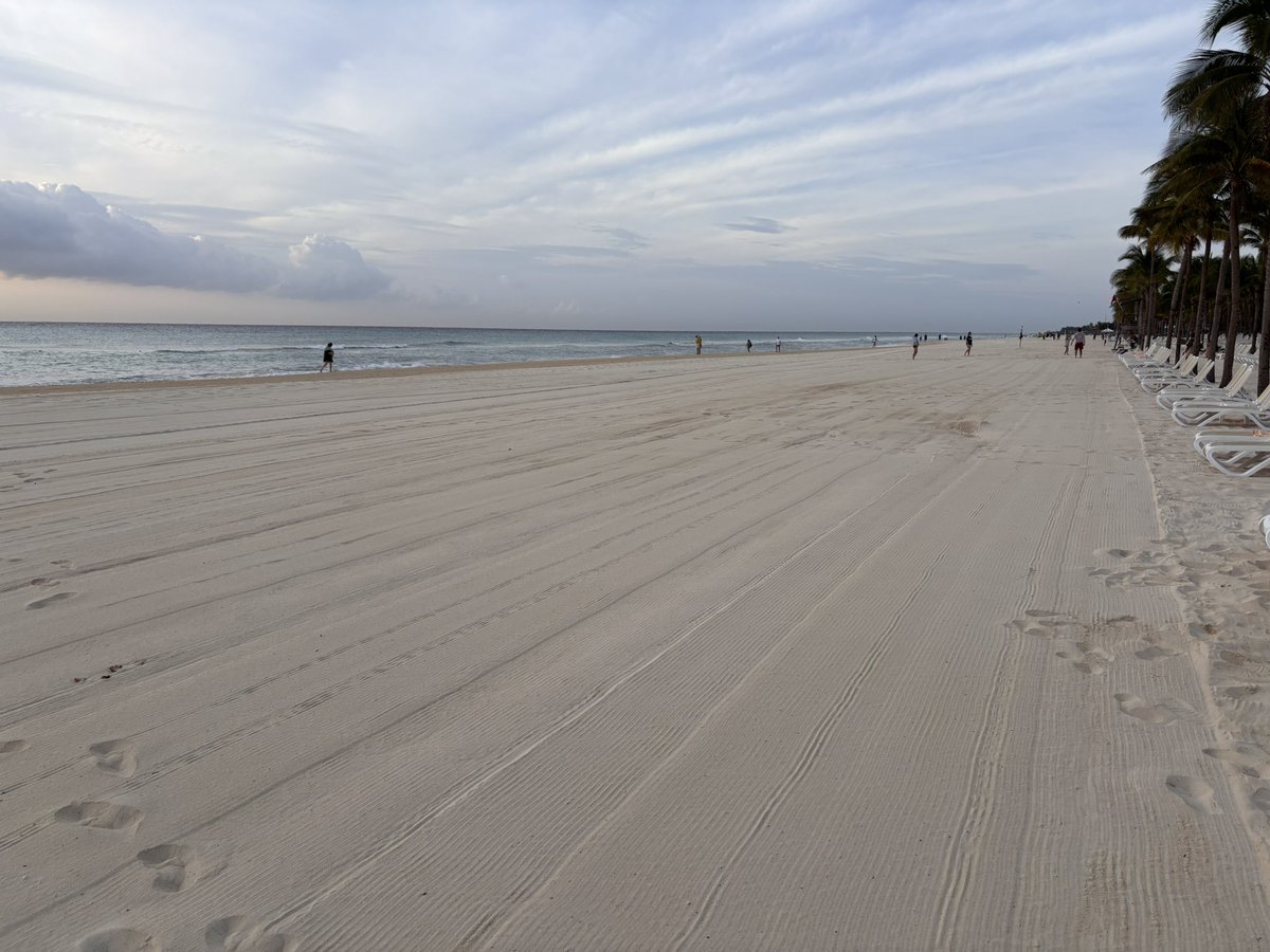 Carrickjamesfitz tweet media