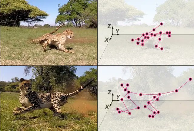 We have a home-fees EPSRC DTP PhD scholarship at UCL East (myself as second supervisor (DDL: 24 Jan 2025): 

3. "Understanding Cheetah Locomotion using Inverse Reinforcement Learning", with Amir Patel and <a href="/MathWorks/">MathWorks</a> 

Details here: rpl-as-ucl.github.io/openings/PhD3-…