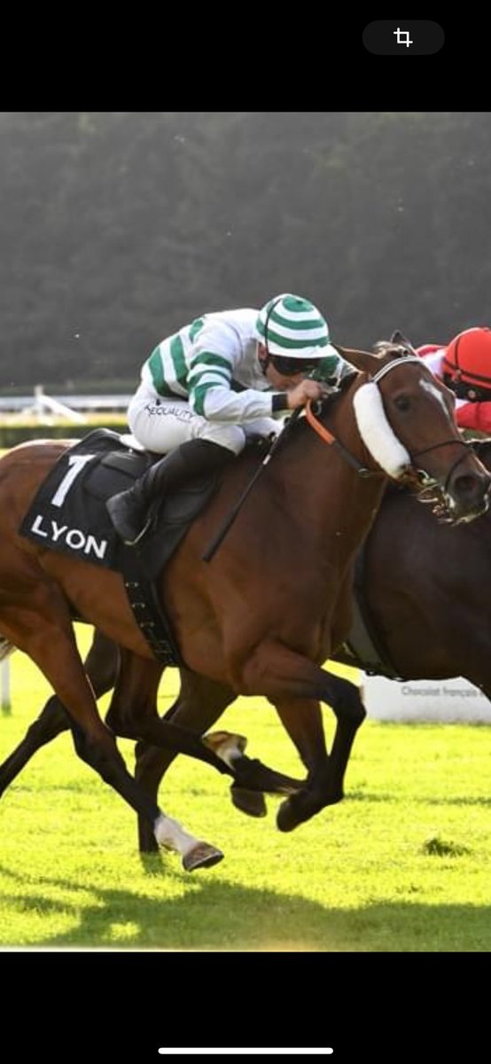 Ma Sainte Rita,
Hier tu es partie rejoindre les anges 👼 et n’ai pas pu te retenir. Tu me manques déjà tellement. Jamais je ne t’oublierai.
A force de pleurer je n’ai même plus de larmes. Mon cœur saigne.
Je t’aime si fort ❤️