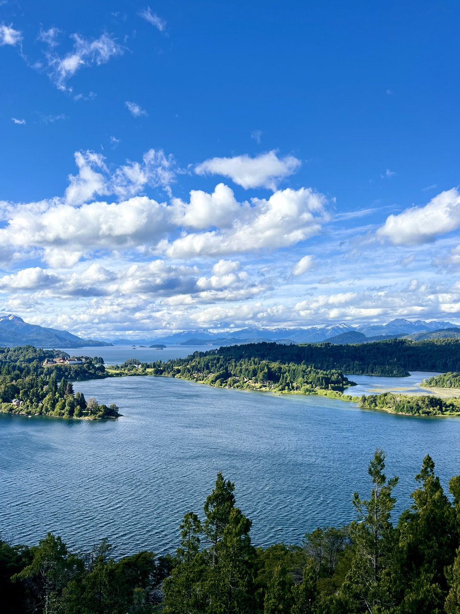 🏳️‍🌈 דויד עם י׳ tweet media