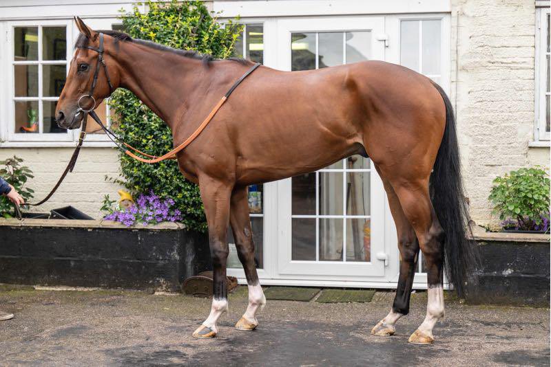 freddytylicki's tweet photo. It's the 3rd of January and we are off the mark for 2๏ธโฃ0๏ธโฃ2๏ธโฃ5๏ธโฃ thanks to KAPPARIS KID winning @Southwell_Races for the master @AWCarrollracing
Congratulations to owners Shropshire Wolves ๐บ.
#offthemark
#win
#newyear
#MillHouseRacing
#TylickiBloodstock๐๐๐โ๏ธ๐ฑ๐ป https://t.co/8hLlirUcDM