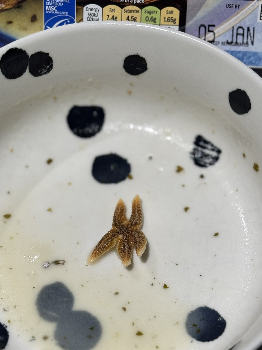 Wishart87's tweet photo. Imagine tucking into your @Tesco Scottish Mussels and finding this when you’ve already ate 90% of the bowl 🤢🤢🤢🤢 ❌ https://t.co/UXiTybBmpn