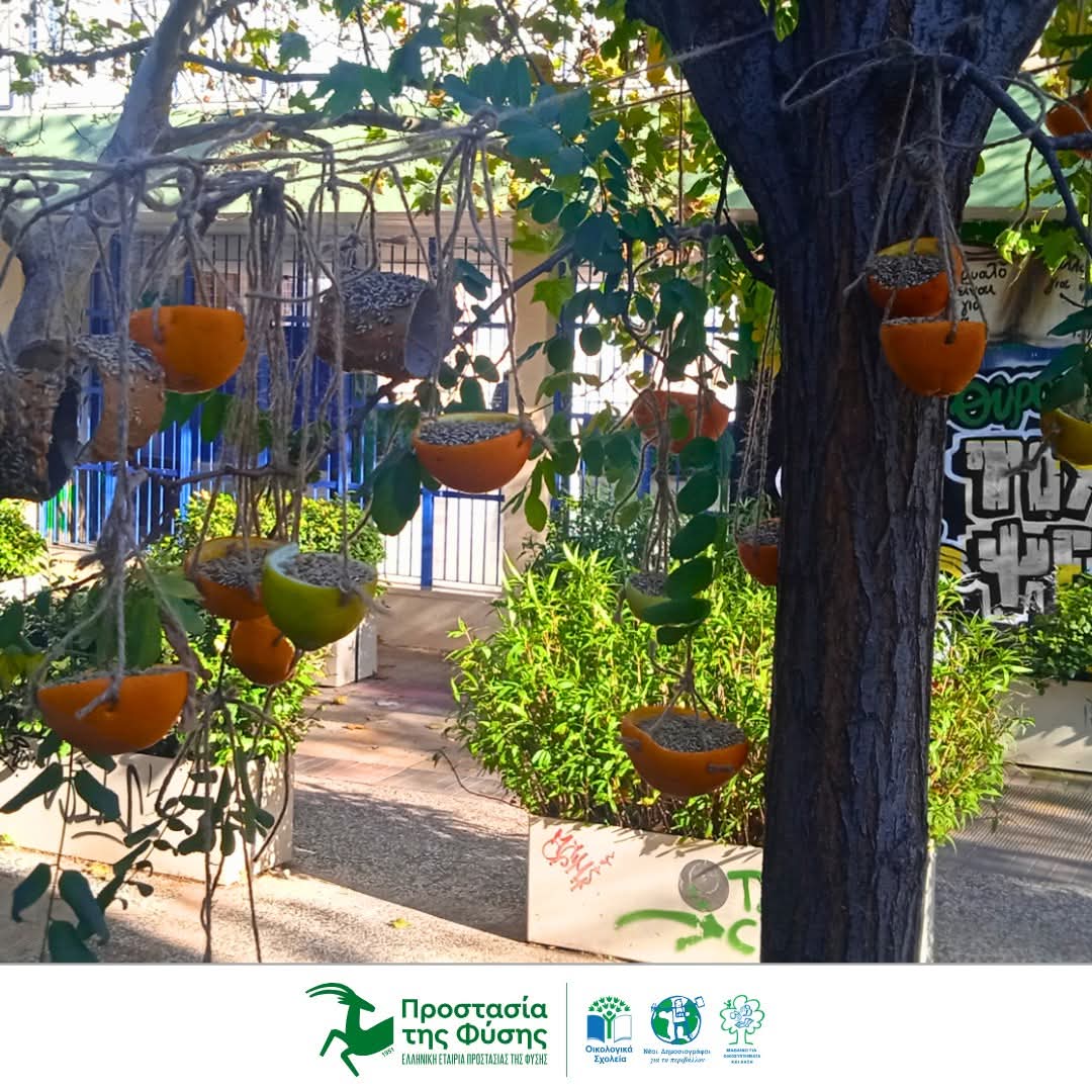 ΕΕΠΦ - HSPN tweet media