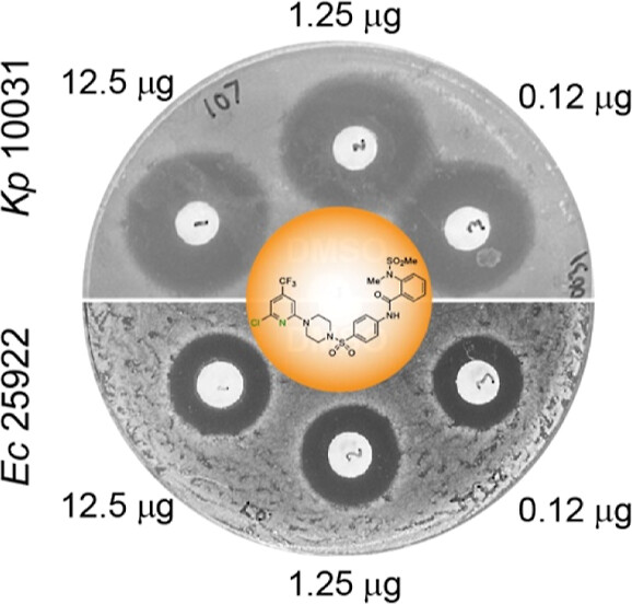 JACS Au (@jacs_au) on Twitter photo Design and Evaluation of Pyridinyl Sulfonyl Piperazine LpxH Inhibitors with Potent Antibiotic Activity Against Enterobacterales
By Pei Zhou, Jiyong Hong et al. <a href="/DukeU/">Duke University</a> <a href="/BerkeleyLab/">Berkeley Lab</a>
Read the paper 👉 go.acs.org/c6M Design and Evaluation of Pyridinyl Sulfonyl Piperazine LpxH Inhibitors with Potent Antibiotic Activity Against Enterobacterales
By Pei Zhou, Jiyong Hong et al. <a href="/DukeU/">Duke University</a> <a href="/BerkeleyLab/">Berkeley Lab</a>
Read the paper 👉 go.acs.org/c6M