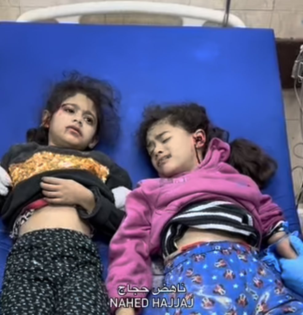 if you see this pic, comment below with 🇵🇸 💔