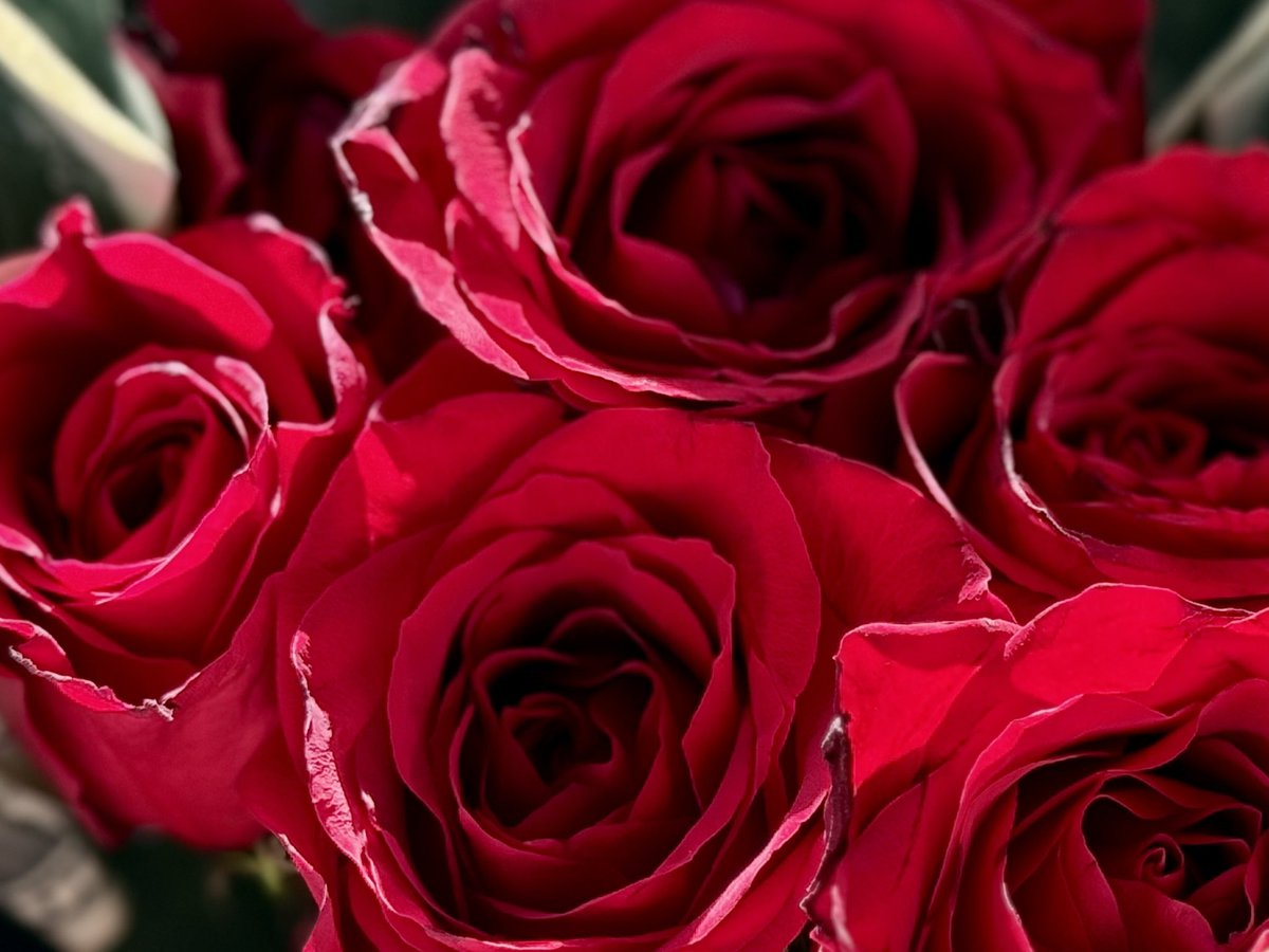 Stepping into #2025 thankful for people like Quida! She is dedicated to the security of our office building &amp; fills days w/ sincere conversation. She surprised me w/ a “bouquet of thanks” for our morning chats. I was blown away! Kindness is mutually beneficial. 🥂 to new friends!