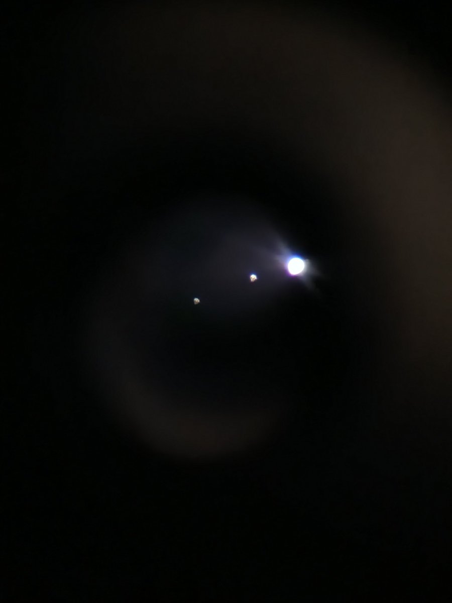 moodrose 🖤🌹 tweet media