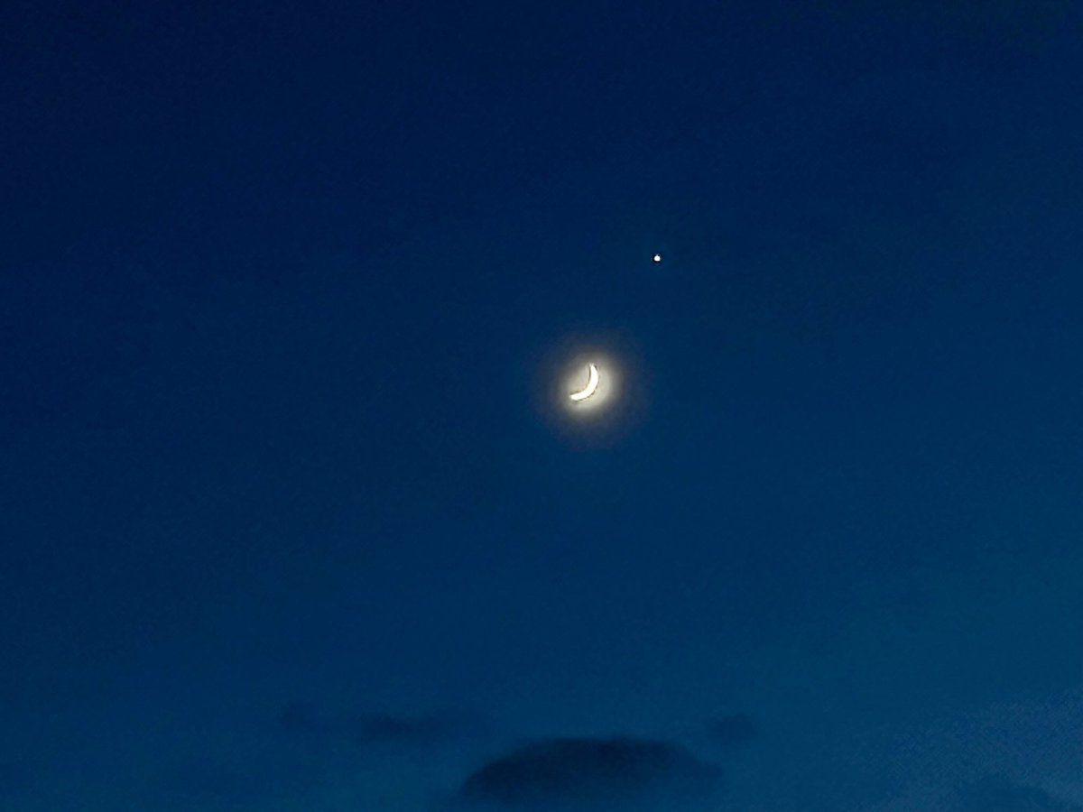 sea_bugs's tweet image. Venus and the moon looking resplendent