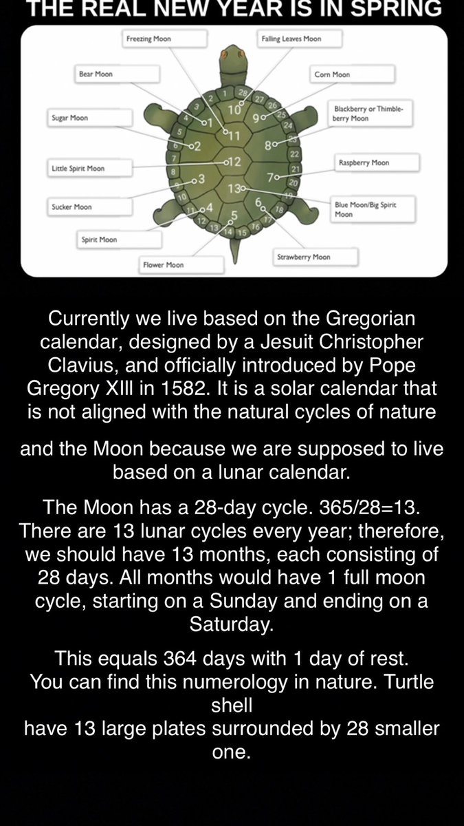 shoker (@shoker_noname) on Twitter photo 