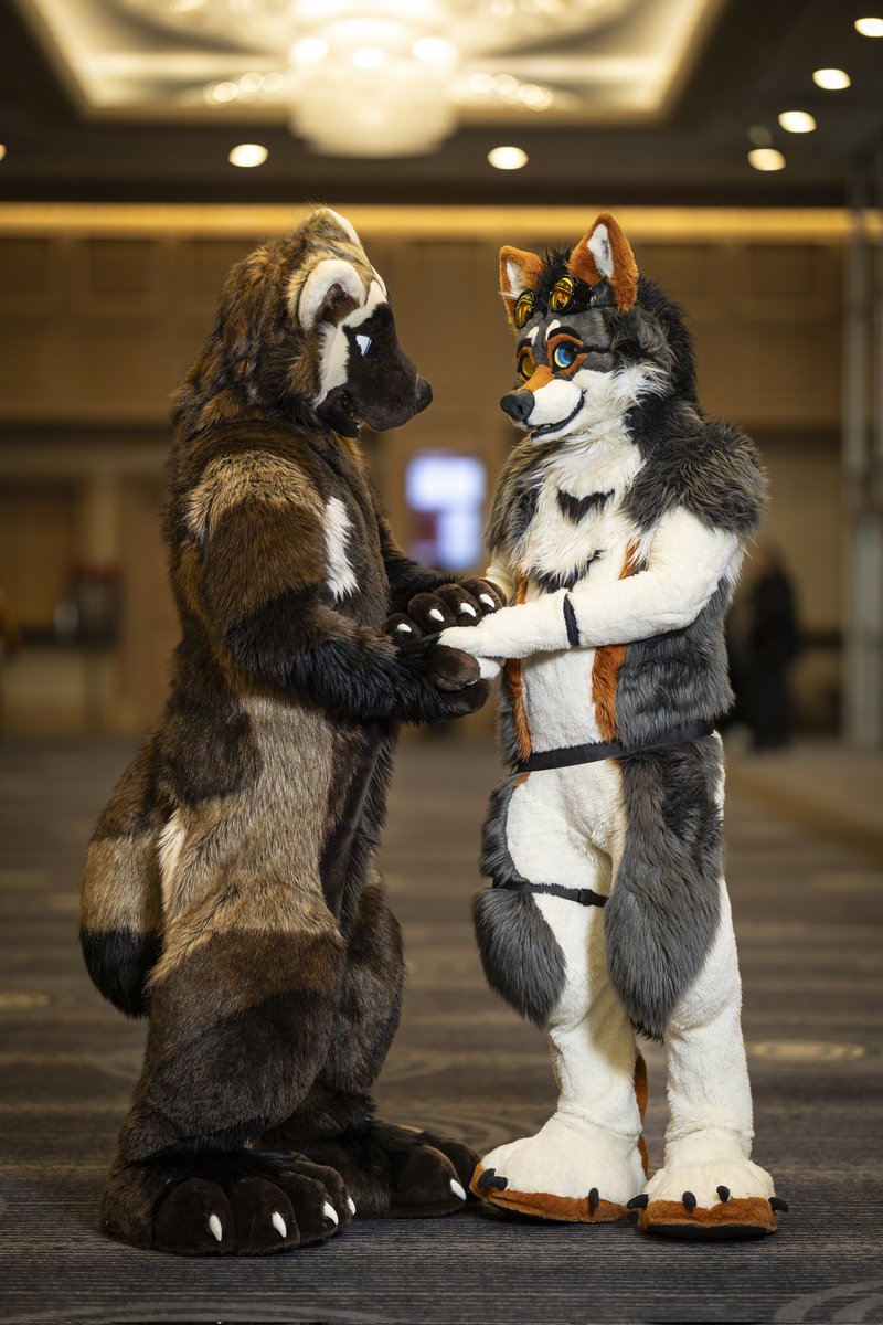 Hold my paw and I'll take yours
#FursuitFriday 
🐺: <a href="/samizzleman/">samizzleman</a>
📸: <a href="/dire_walf/">Dire Walf</a>
🪡: <a href="/WaggeryCos/">Waggery Costumes</a>