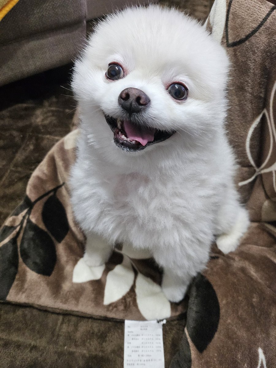 明けましておめでとうございます🎍✨
今年もよろしくお願いします🙇‍♀️♥