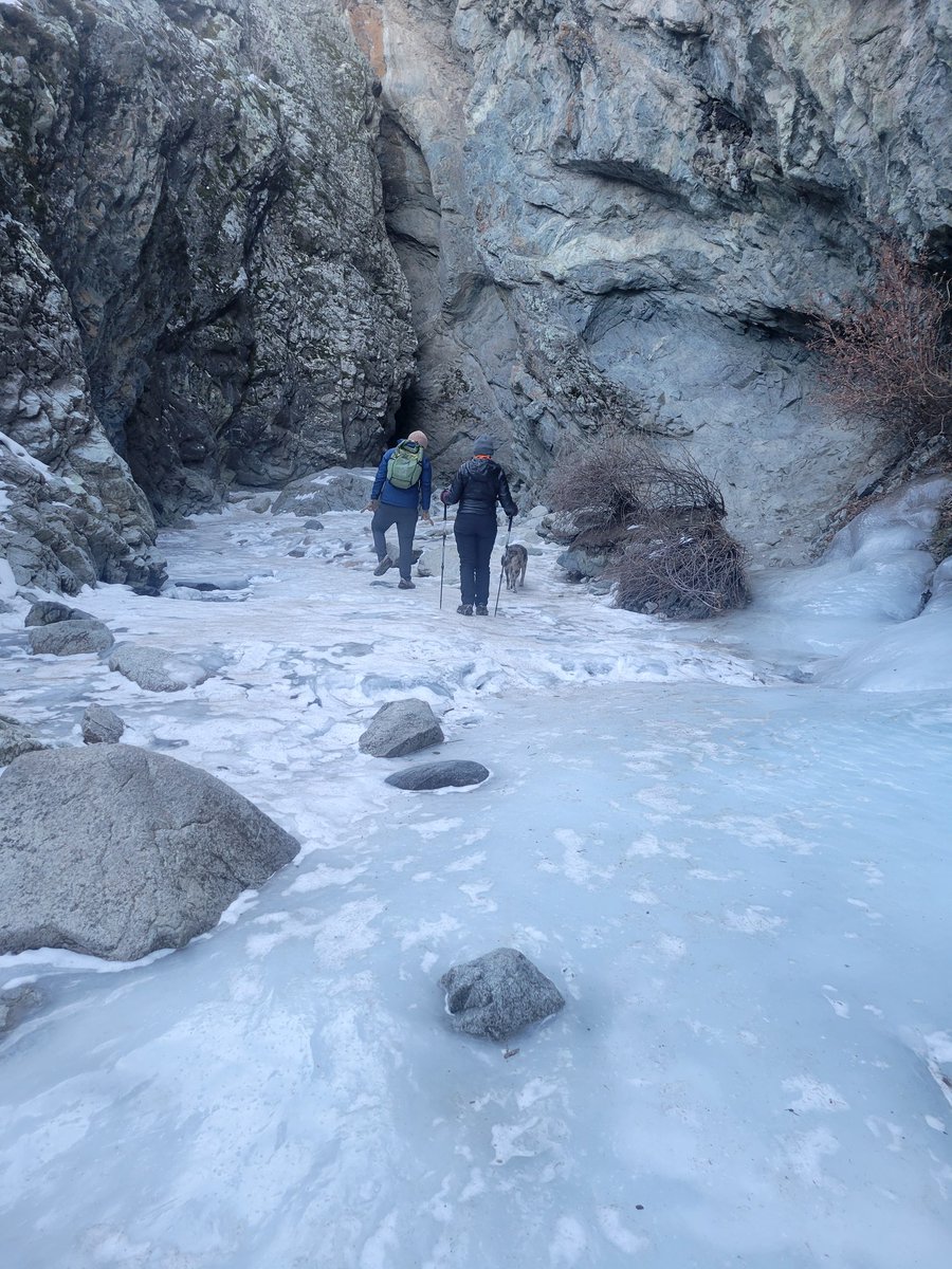 Nothing refreshes the soul like a little winter hiking.