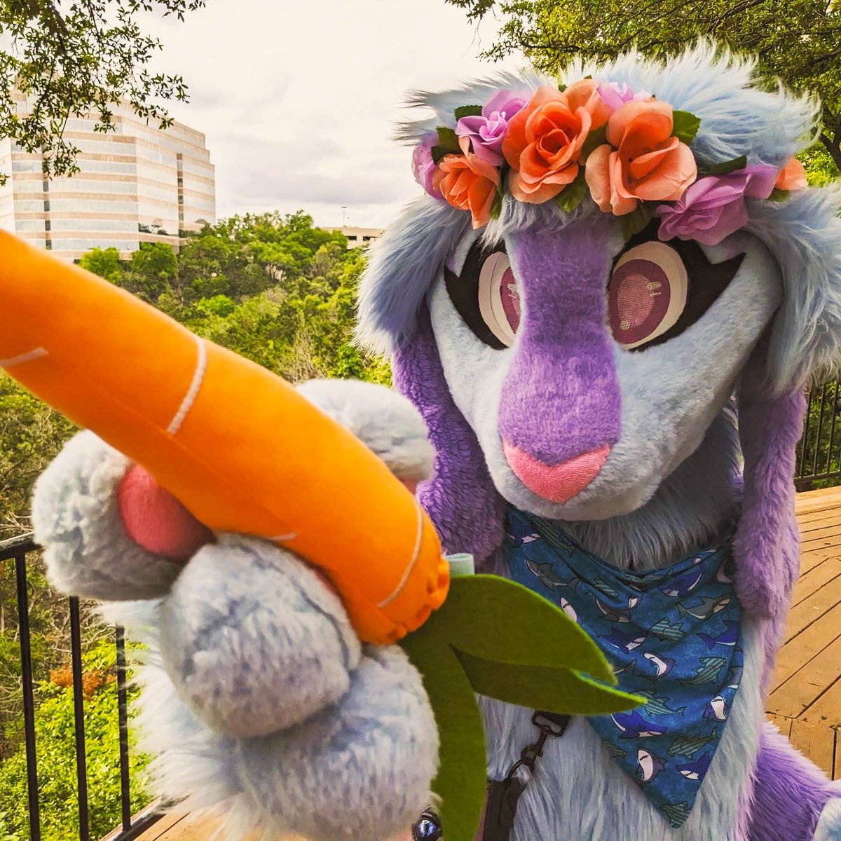A carrot for your new year!

#FursuitFriday #furry