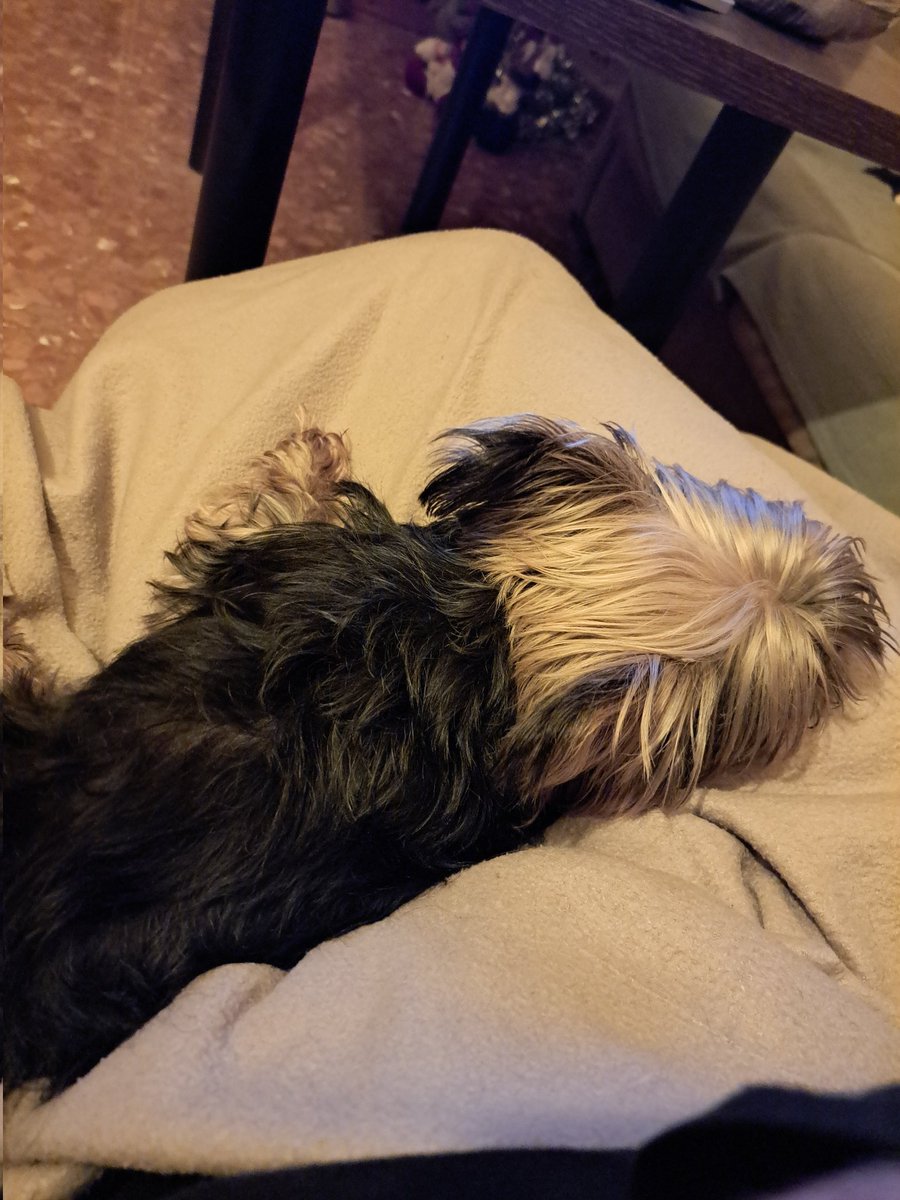 γονοπώτης (@reckliichi) on Twitter photo 