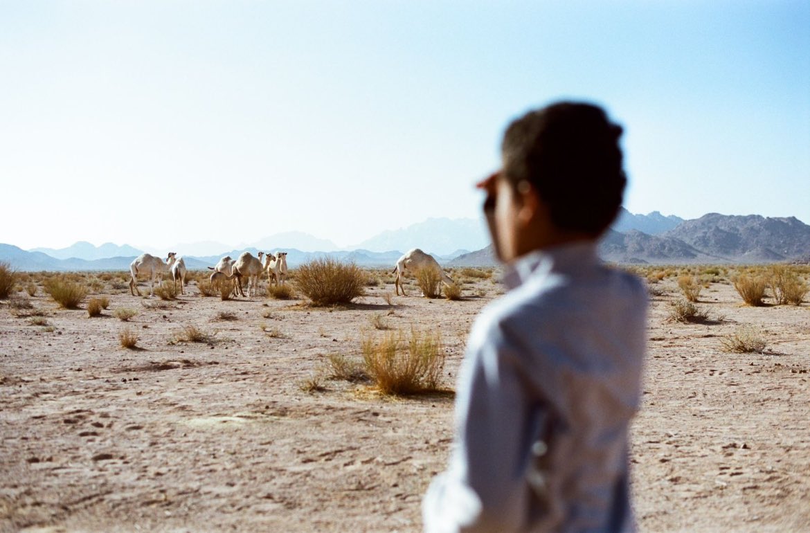 هنالك عالم رياضيات إيطالي يدعى "جيرولامو" وهو عالم معروف بكثرة تنبؤاته، لدرجة أنه تنبأ بيوم وفاته. حتى أتى ذلك اليوم، فوجد نفسه يتمتع بصحة جيدة، فانتحر كي لا يُخالف نفسه!

وما أشبهه بالجد "ليام" العطوف بخجل، والذي أرسى سفينة عائلته البرية في العراء، متعمدًا خرقها بحكمة الخضر،