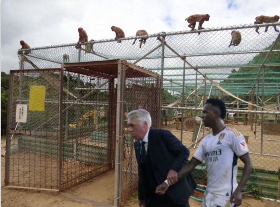 Account___User's tweet image. Vinicius balón de playa.