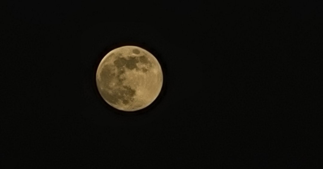 OutdoorAdvanced's tweet photo. Take a look at the last full moon of 2024 🌕  @Willow Beach RV 

The surrounding nature and absence of city lights at a campground allow you to see the full moon in all its brilliance. The first full moon of the year is next week on January 13. https://t.co/tAxik7vrIe