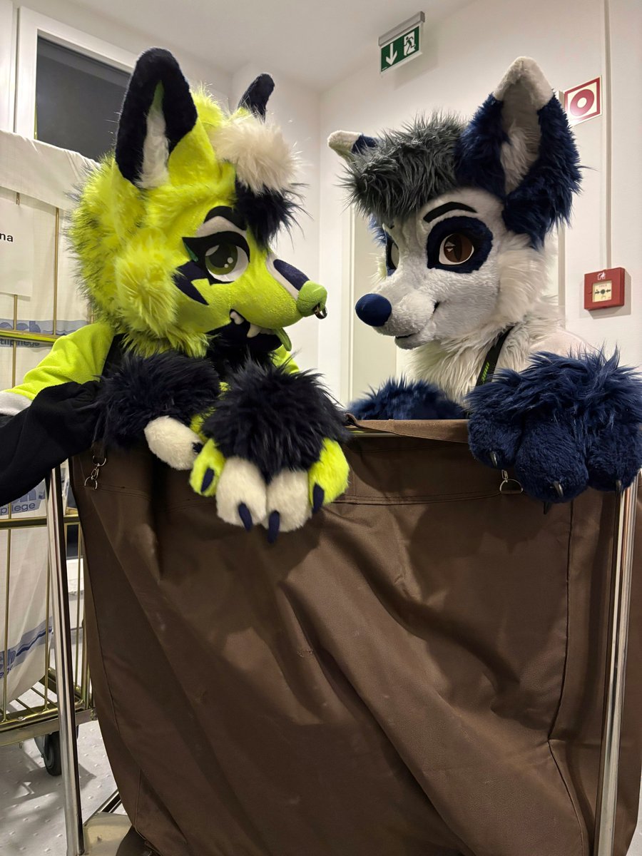 Ehm… i think they want to throw us into the laundry machine 😨 

🎾: <a href="/f0x0na/">Foxona</a> 
📸: @LennoxFenn
