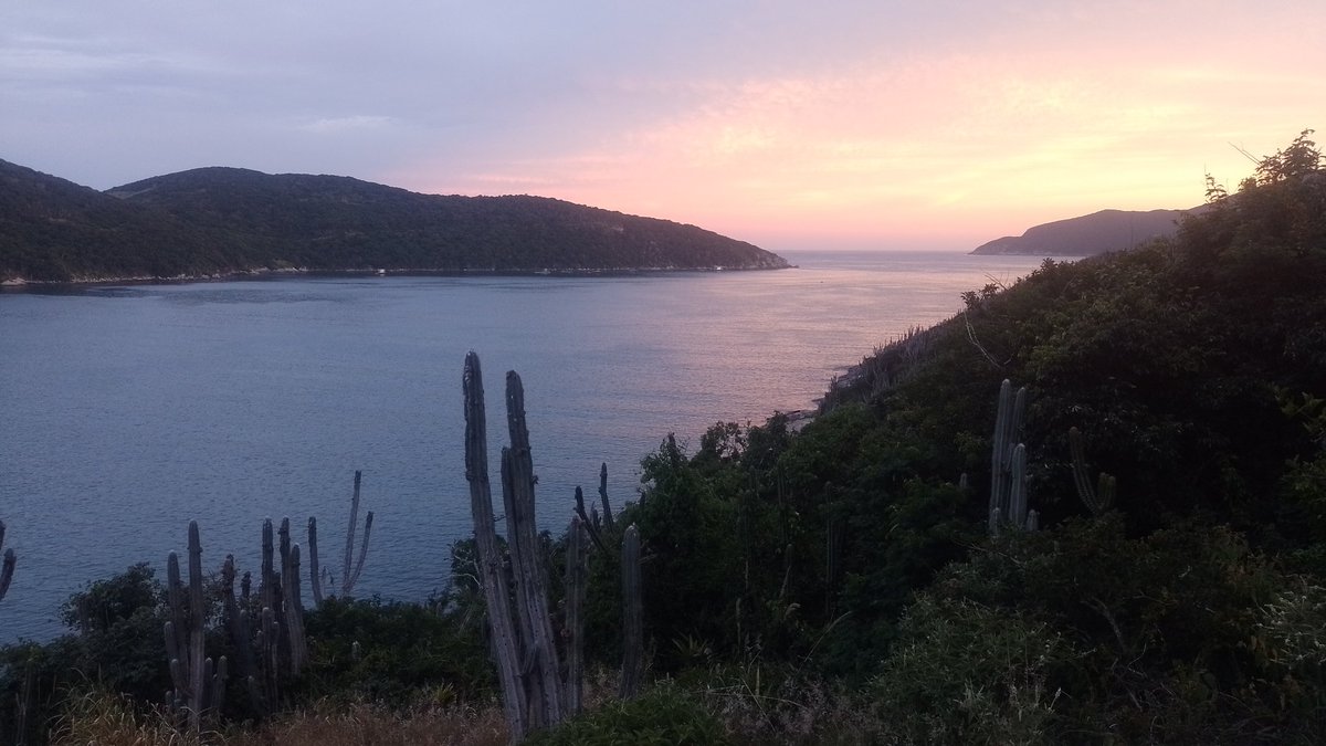 matheustecho's tweet image. Cabô o dia