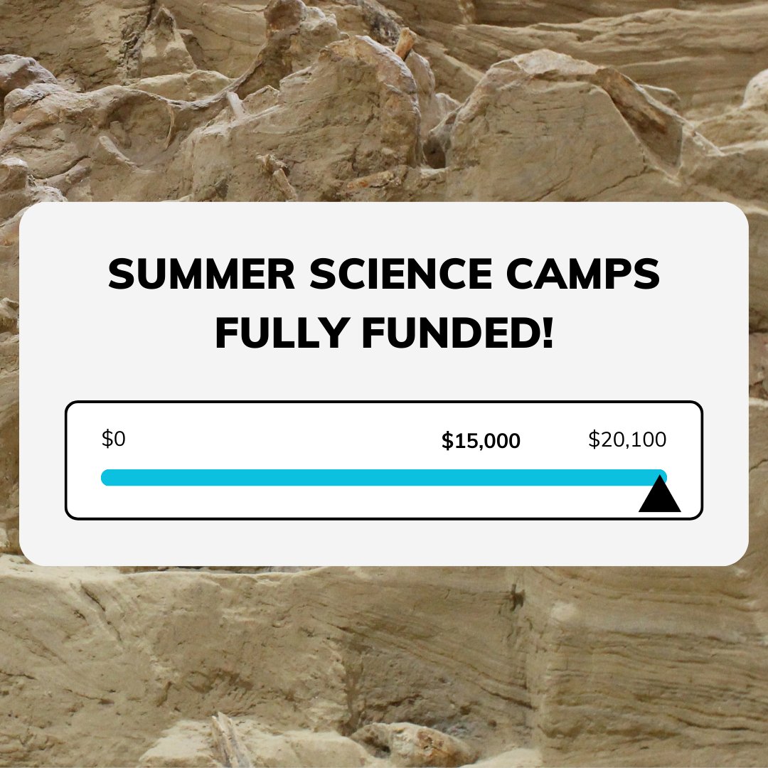 Exciting news: not only are our Summer Science Camps now fully funded, we actually EXCEEDED our fundraising goal! Thank you to everybody who has donated to ensure that we can keep our camps free for area children.