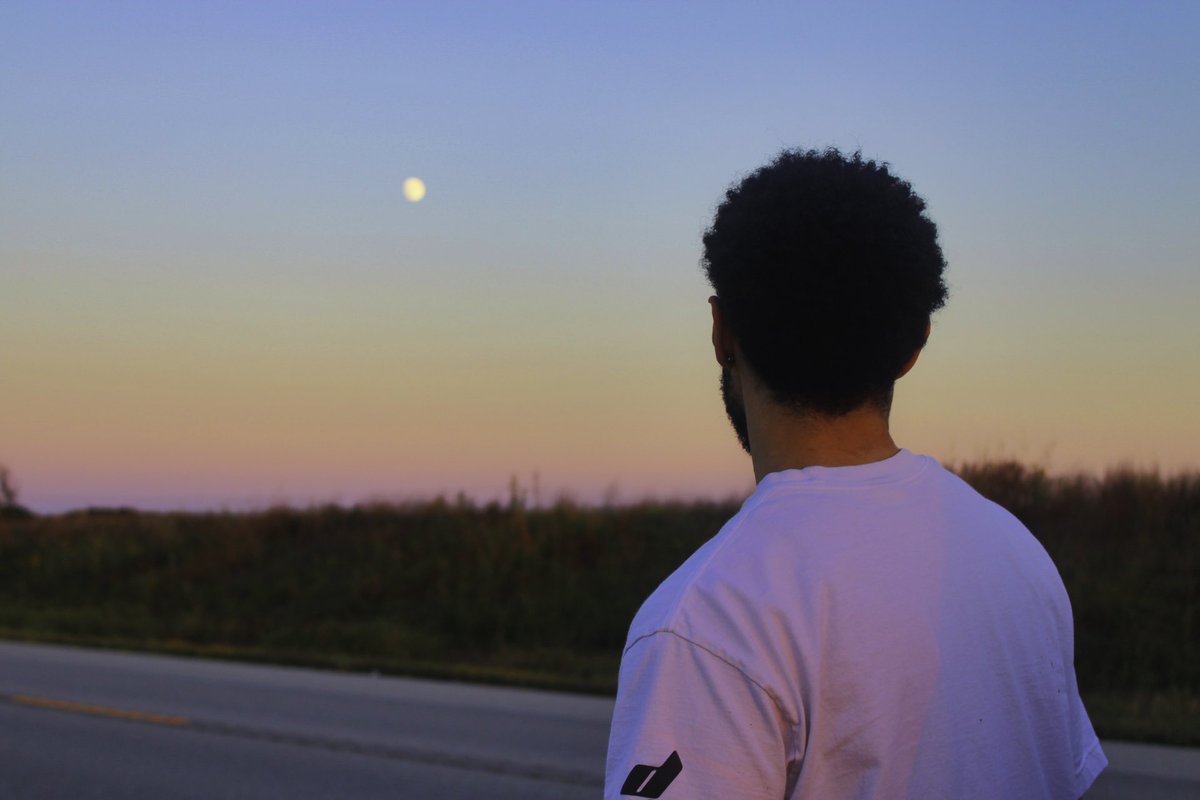 robert ivory tweet media