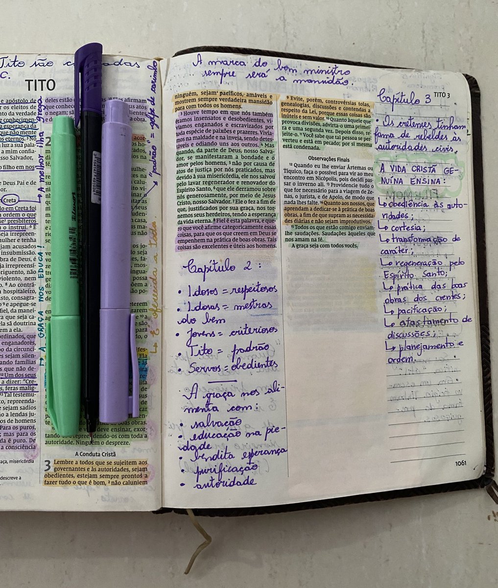 TITO 3:
• Além de mentirosos, os cretenses tinham fama de rebeldes às autoridades;
• A vida cristã genuína ensina cortesia, transformação de caráter, regeneração pelo Espírito Santo, prática das boas obras, pacificação, afastamento de discussões, planejamento e ordem.