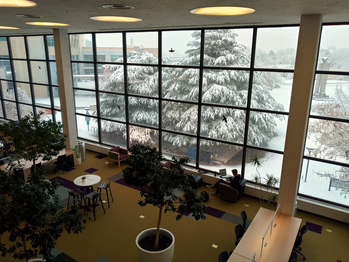 Who else is dreaming of snow?