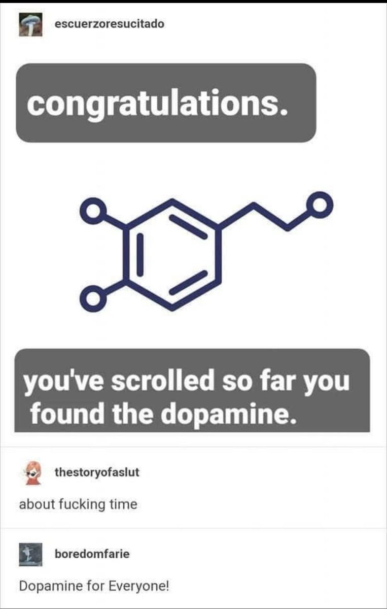 ADHD Memes (@adhdforreal) on Twitter photo 