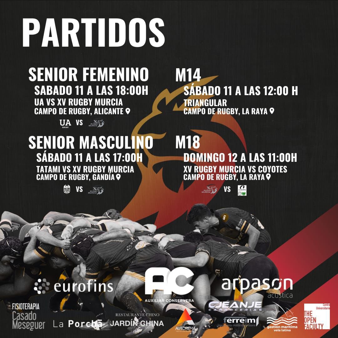 Año Nuevo, más rugby!! 
Vamos XV!!