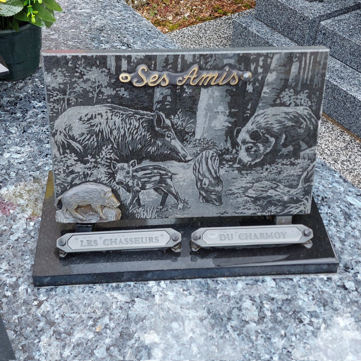 Les animaux sont nos amis, cimetière de Trampot (Vosges). #tombes