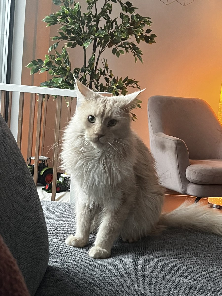 Goeiemorgen lieve vriendjes! Het is weer zaterdag ❤️❤️❤️