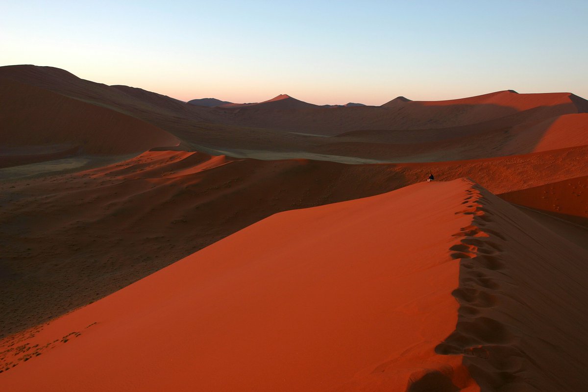 🏜️ En Namibia, el desierto del Namib es hogar de dunas rojas gigantes y árboles petrificados de más de 900 años. 🌵 

¿Te atreverías a caminar por esta postal surrealista? 🇳🇦