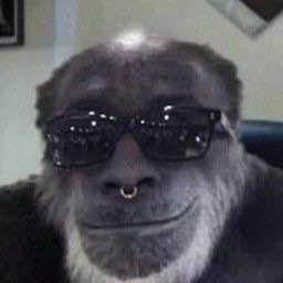 MercuryRBX tweet media